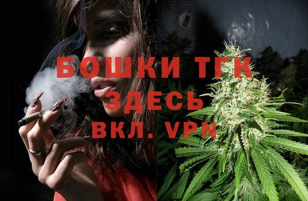 ГАЛЛЮЦИНОГЕННЫЕ ГРИБЫ Белоозёрский